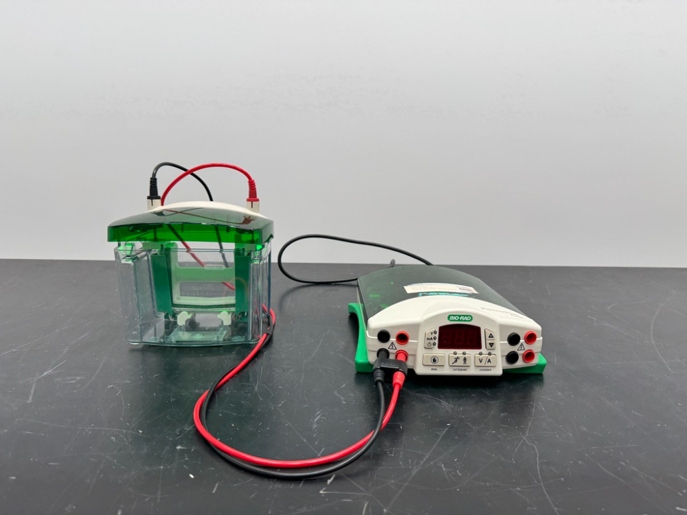 Image of Bio-Rad PowerPac Basic Electrophoresis Power Supply